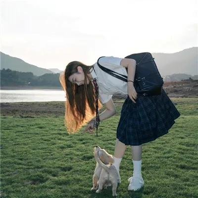 女税务官