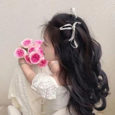 芭比逐梦大都会